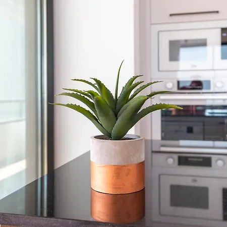 Playamar Waterfront Exclusive And Views Tower 2 Fl 14 * Torremolinos